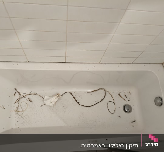 אמבטיה מלוכלכת עם לכלוך וענפים